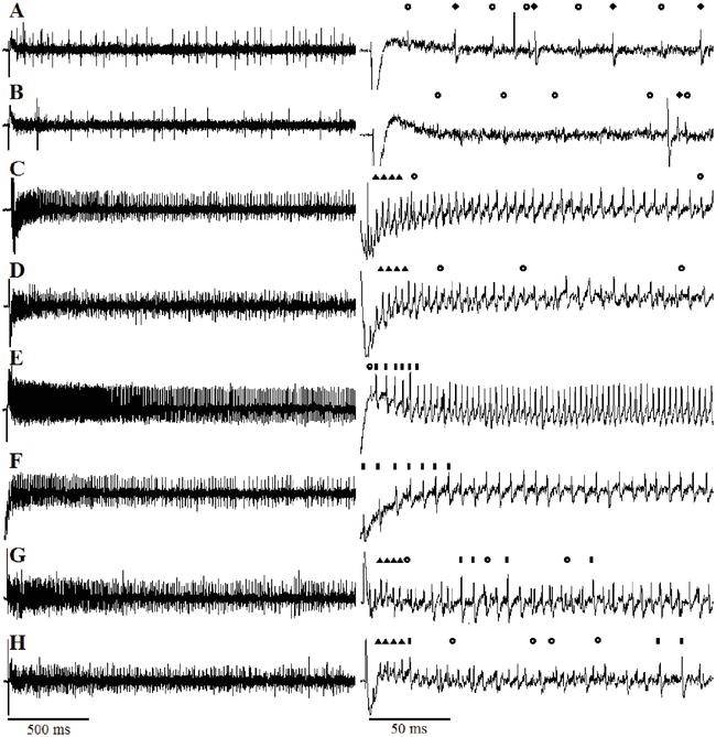 Figure 7. Representative neurophysiological responses from medial styloconic sensilla of Lymantria dispar in response to single-component taste stimuli, as well as binary mixtures.