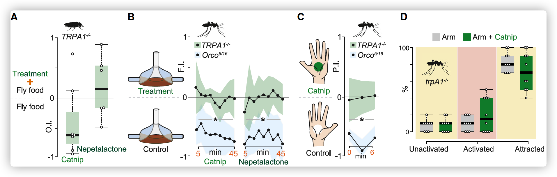 Figure 3. TRPA1 mutant mosquitoes and flies show no aversion to catnip