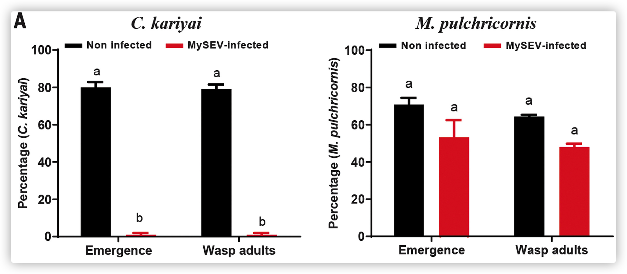 Fig. 1. Characterization of MySEV lethal factor in vivo and ex vivo.