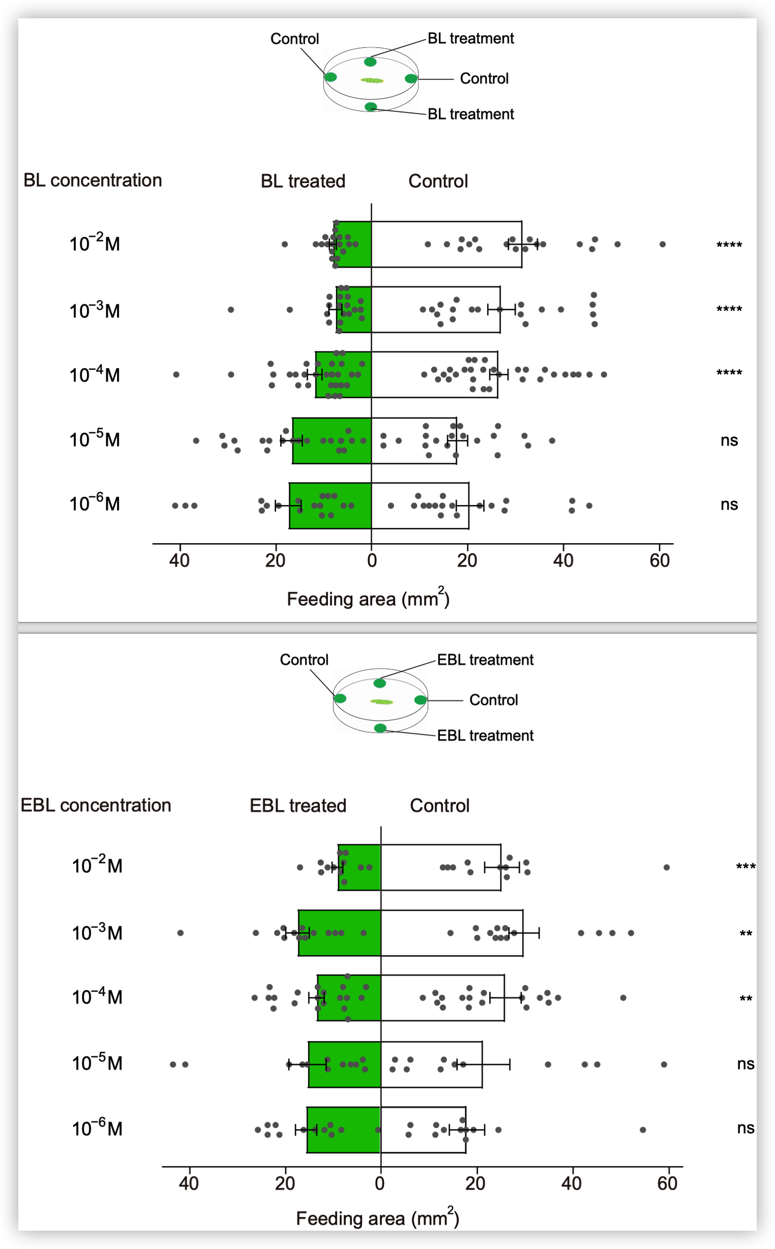 BL/EBL induced feeding deterrence effect on P. xylostella larvae.